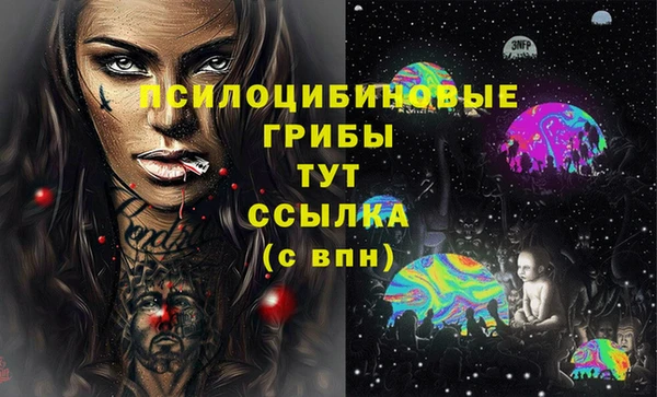 метамфетамин Верея