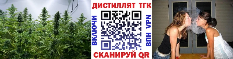 Купить  Гатчина  ТГК жижа 