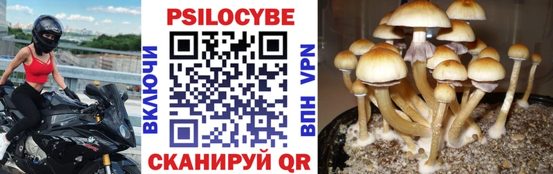 Купить закладки  Гатчина  Галлюциногенные грибы ЛСД 